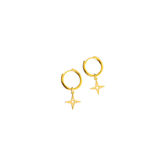 Starseed Gold Hoop and Star Earrings